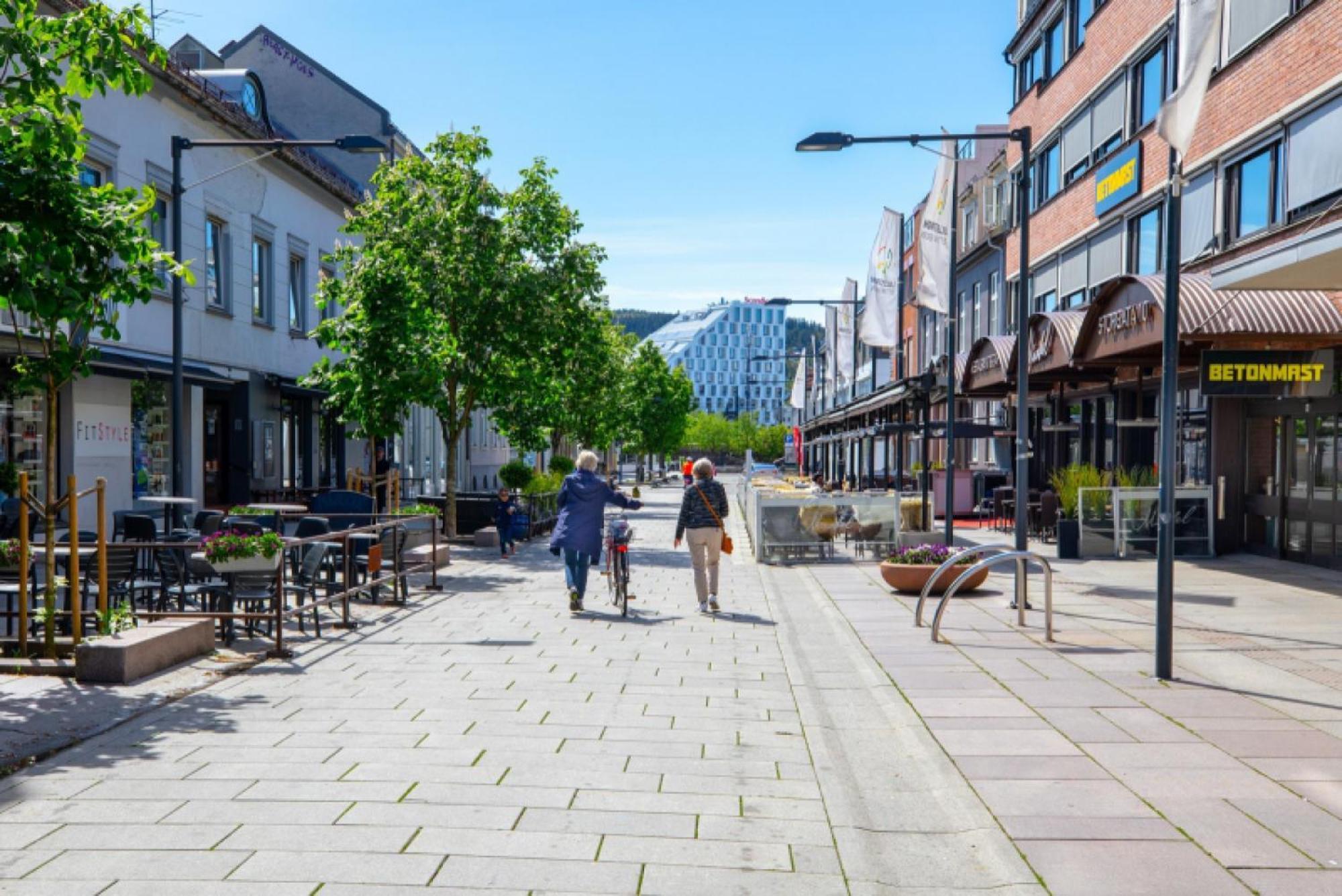 Km Rentals - Lillestrom City エクステリア 写真